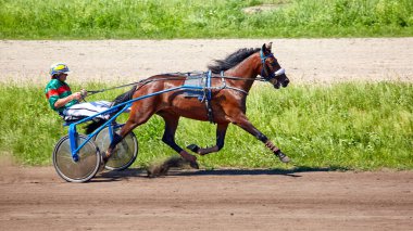 Kyiv Ukrayna 6 Ağustos 2023 Hipodrom yarış koşucusu