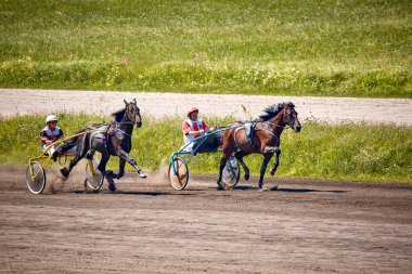Kyiv Ukrayna 6 Ağustos 2023 Hipodrom yarış koşucuları