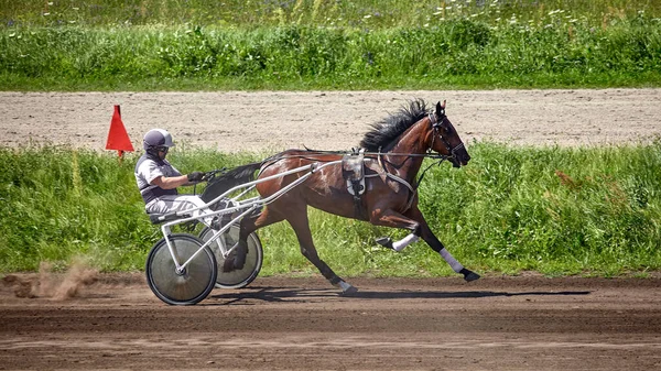 Kyiv Ukraine August 2023 Hippodrome Racing Trotters — Stock Photo, Image