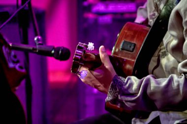 Mikro fonun önünde gitar çalan bir adamın görüntüsü.