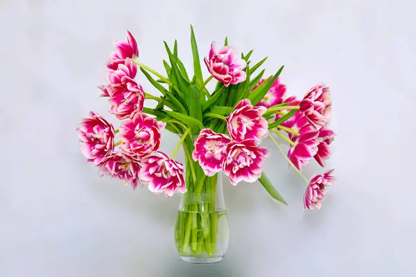 Obraz Bukietu Kwitnących Tulipanów Kolumba Szklanym Wazonie Obrazy Stockowe bez tantiem