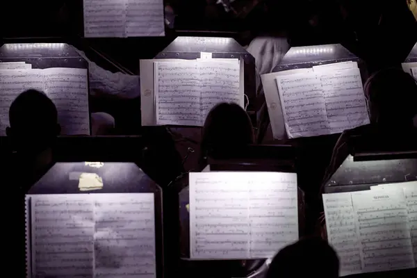Bild Von Musikern Orchestergraben Vor Der Blechmusi lizenzfreie Stockbilder