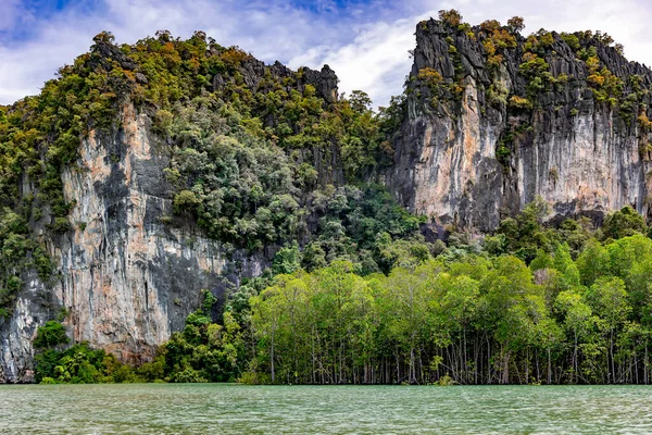 Rocas Cubiertas Bosque Junto Manglares Kilim Geoforest Park Langkawi Malasia — Foto de Stock
