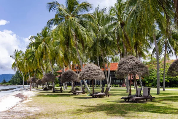 马来西亚兰卡维岛上的热带清扬海滩上 高大的棕榈树和日光浴者 热带海滩的自然景观 — 图库照片