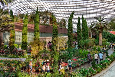 Güneydoğu Asya, Singapur, Kasım 2022: Singapur 'da çeşitli çiçek ve Akdeniz ağaçlarının bulunduğu Körfez kıyısındaki Bahçelerin cam çatılı çiçek kubbesi