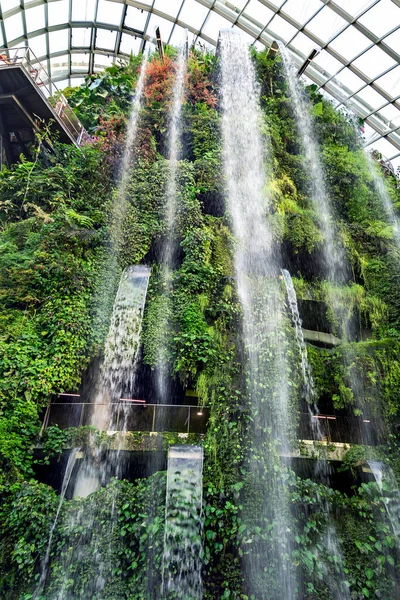 Southeast Asia Singapore November 2022 Cloud Forest Conservatory Gardens Bay — Stock Photo, Image