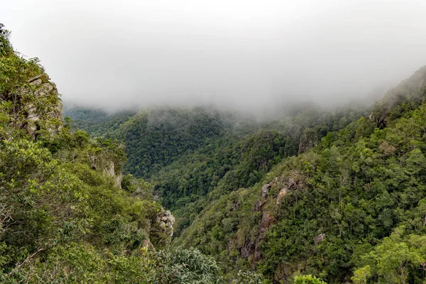 Cincang Hegyek Túlnőtt Erdő Ködös Köd Óceán Partján Langkawi Malajzia — Stock Fotó