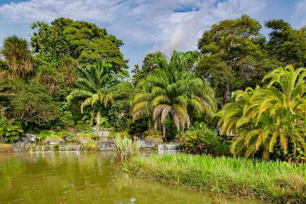 シンガポールの滝の水のカスケードの美しい熱帯都市の庭 都市の緑の環境の概念 — ストック写真