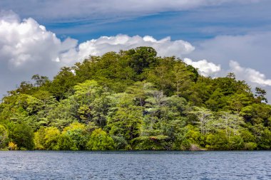 Kilim Geoforest Park, Langkawi, Malezya 'daki mangrovların yanındaki ormanlarla kaplı kayalar. Asya 'nın muhteşem doğal manzarası. Geniş nehirden ormana ve dağa bak.