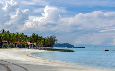 Malezya 'nın Langkawi adasında Andaman Denizi yakınlarında uzun palmiye ağaçları olan tropikal Chenang sahilinde beyaz kum. Tropik bir plajın doğal manzarası.