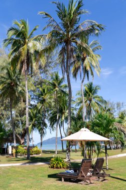Malezya 'nın Langkawi adasında, Andaman deniz kıyısında iki güneşlik. Doğa ve Seyahat kavramı.