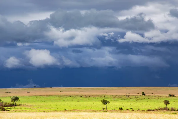アフリカのケニア マサイ マラの雨季にサバンナの上に雨のシャワー付きの嵐の雲 — ストック写真