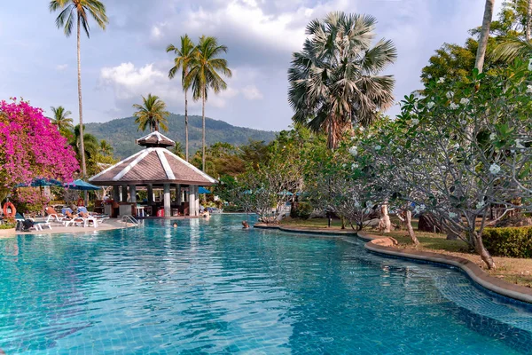 Таиланд Пхукет Февраль 2023 Бассейн Среди Красивого Сада Высокими Пальмами — стоковое фото