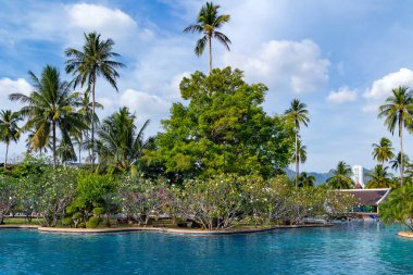 Phuket, Tayland 'da Fransız ağaçlı güzel bir bahçenin içinde turkuaz suyla yüzme havuzu.