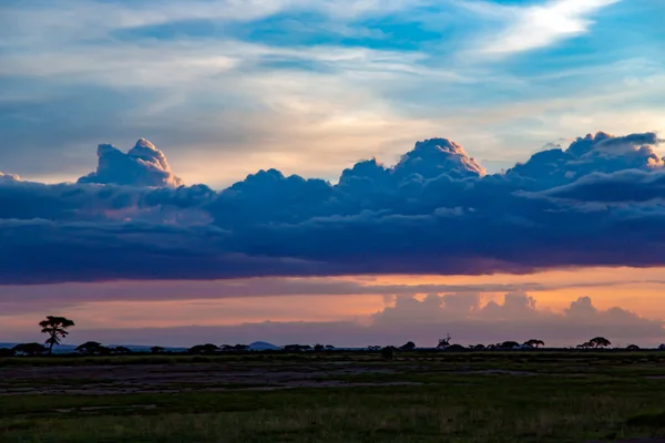 Színes Naplemente Cumulus Felhők Felett Szavanna Tarangire Nemzeti Park Tanzánia — Stock Fotó