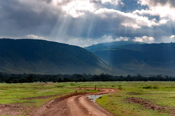 Ngorongoro Kráter Természetvédelmi Terület Háttér Cumulus Felhők Nap Sugarai Tanzánia — Stock Fotó