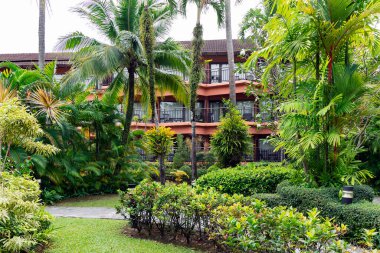 THAILAND, PHUKET, FEBRUARY, 2023: Tayland 'ın Phuket kentindeki Patong Merlin Oteli bölgesinde tropikal bitkiler ve yüksek palmiye ağaçları olan güzel bahçe