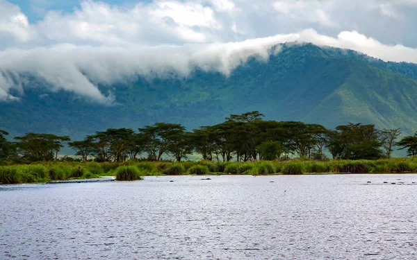 ヌゴロンゴロ クレーター バレー タンザニア 東アフリカの雲を背景に アンブレラ アカシアス アルビジアに囲まれた淡水湖 — ストック写真