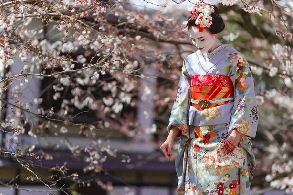Japão Kyoto Abril 2017 Mulheres Bonitas Vestido Quimono Maiko Fundo — Fotografia de Stock