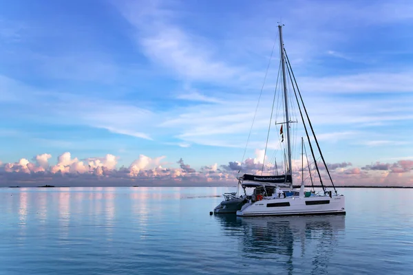 French Polynesia December 2017 Lonely Catamaran Красивій Бірюзовій Лагуні Біля — стокове фото