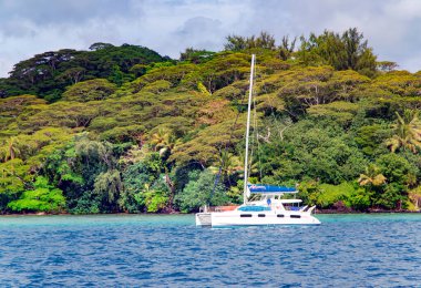 FRANSIZ POLİNESYA, Aralık 2017 - Fransız Polinezya Adaları 'nın Pasifik Okyanusu' ndaki Bora Bora Adası yakınlarındaki güzel bir turkuaz gölde yalnız katamaran.