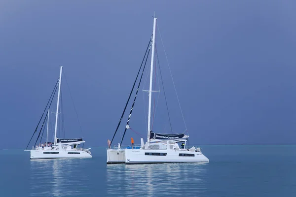 Franse Polynesia Papeete December 2017 Verschillende Catamarans Een Kalme Blauwe — Stockfoto