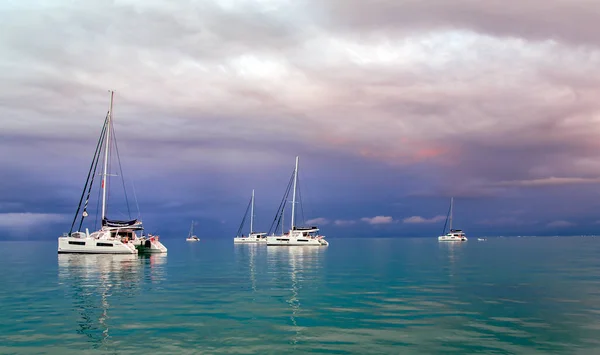 Polinesia Francesa Diciembre 2017 Grupo Catamaranes Navegó Isla Bora Bora — Foto de Stock