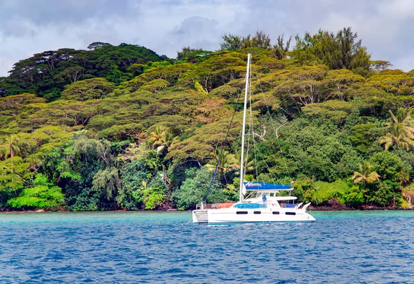 Polinesia Francese Dicembre 2017 Catamarano Solitario Una Bellissima Laguna Turchese — Foto Stock