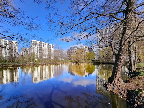 Riga Şehir Parkında Güneşli Bir Sabah Küçük Bir Gölet Suya — Stok fotoğraf