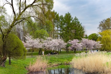 LATVIA, RIGA, APRIL, 2023 - Riga 'nın sakinleri ve konukları Riga, Letonya' daki Zafer Parkı 'nda yeşil çimlerde dinleniyor