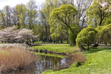 LATVIA, RIGA, APRIL, 2023 - Riga 'nın sakinleri ve konukları Riga, Letonya' daki Zafer Parkı 'nda yeşil çimlerde dinleniyor