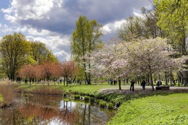 LATVIA, RIGA, APRIL, 2023 - Riga 'nın sakinleri ve konukları Riga, Letonya' daki Zafer Parkı 'nda yeşil çimlerde dinleniyor