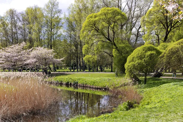 Łotwa Riga Kwiecień 2023 Mieszkańcy Goście Rygi Relaksują Się Zielonych — Zdjęcie stockowe