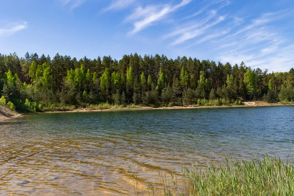 ツィリー カルニ ブルーヒルズ の松林の中にあるデュカルヌ貯水池の透明な青い水ヨーロッパ ラトビアのオグレ自治体の自然公園 環境に配慮した — ストック写真