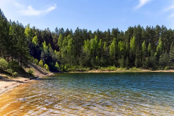 Transparent Blått Vatten Dubkalnu Reservat Bland Tallskogar Vid Zilie Kalni — Stockfoto