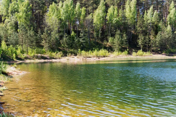 Eau Bleue Transparente Dans Réservoir Dubkalnu Parmi Les Forêts Pins — Photo