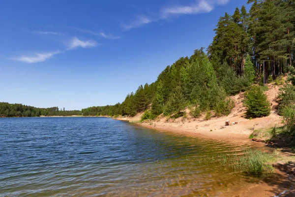 拉脱维亚奥格尔市Zilie Kalni Blue Hills 自然公园松树林之间的Dubkalnu水库中的透明蓝水 清洁环境概念 — 图库照片