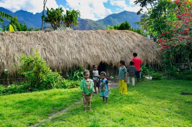 PAPUA NEW GUINEA, 15 Ağustos 2019: Aborijin sazdan çatı kulübesi Papua Yeni Gine 'nin yerli nüfusunun tipik ikamet yeridir. Bu evin çocukları yeşil çimlerin üzerinde duruyor.