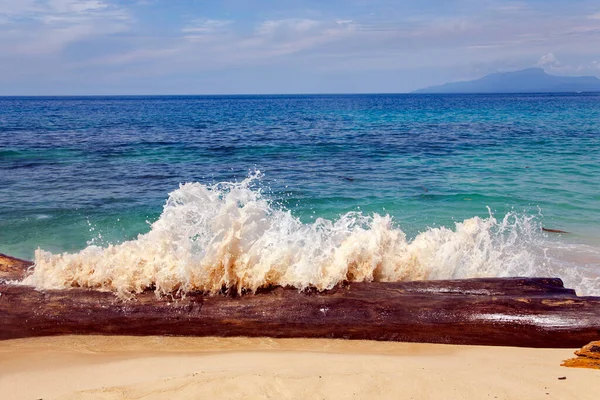 Огромное Бревно Большой Пенной Волной Пантайском Пляже Сентани Джаяпура Новая — стоковое фото