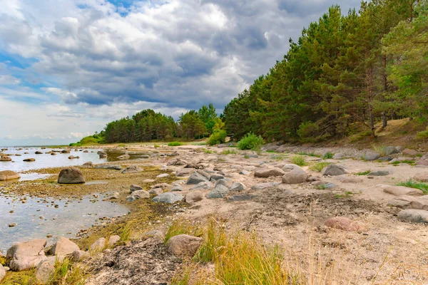 Пляж Калтене Покритий Льодовиковими Каменями Які Простягаються Міста Рожа Латвії — стокове фото