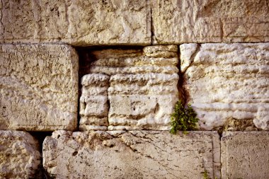 Batı Duvarı 'nın (Ağlama Duvarı), Kudüs, İsrail' in yarıklarına yerleştirilmiş notlarla taşların dokusu