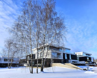 Letonya 'nın Riga kentindeki Mezaparks bölgesinde güneşli bir günde uzun huş ağaçlarıyla kaplı karla kaplı bir parkın panoraması. Soğuk kış havası.
