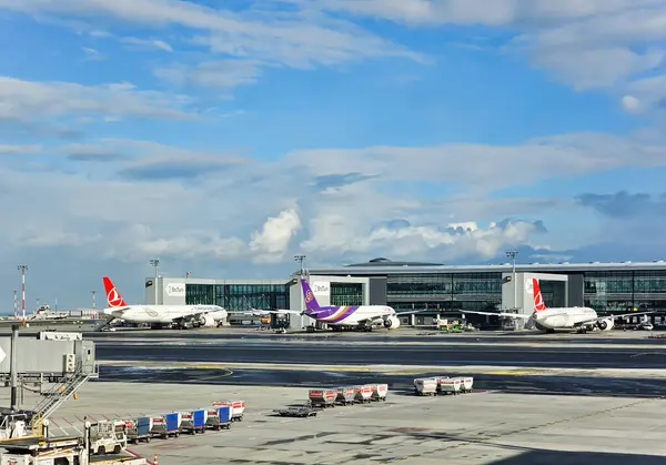 Türkiye, İstanbul, 08, Ocak 2024: İstanbul Atatürk Havalimanı 'nda çeşitli havayolu hazırlıklarına sahip uçaklar.