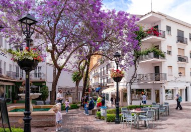 İspanya, Marbella, İspanya 'da bulunan Marbella şehrinde çiçek açan Jacaranda ağacı ve kafe masaları ile birlikte 21 Mayıs 2023