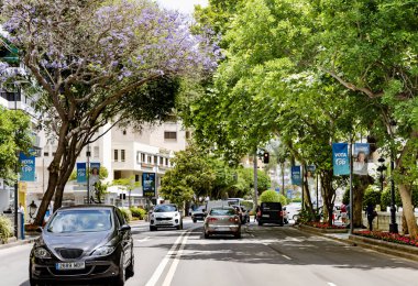 İspanya, Marbella, 25 Mayıs 2023: Marbella, İspanya 'da uzun çiçek açan ağaçların gölgesinde araba trafiği olan şehir yolu