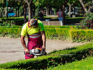 İspanya, Malaga, Mayıs, 28, 2023: Park çalışanları Malaga şehir bahçesinde elektrikli aletlerle çalıları buduyor. İspanya.