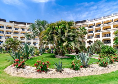 Mısır 'ın Hurghada kentindeki modern bir otelin bölgesinde palmiye ağaçları, kaktüsler ve çiçek açan çalılarla güzel bir peyzaj..