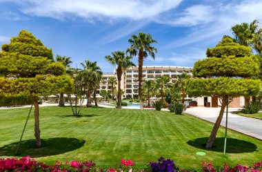 EGYPT, HURGHADA, 18, APRIL, 2024: Hurghada 'daki Steigenberger ALDAU Oteli' nde budanmış ağaçlar, kaktüsler ve çiçeklerle güzel bir peyzaj. Mısır.