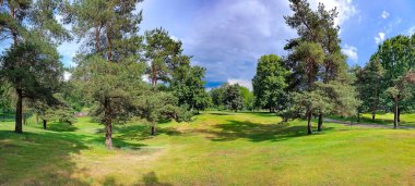 Riga, Letonya 'da güneşli bir günde yeşil çimenli bir çam parkının manzarası. Temiz çevre kavramı.