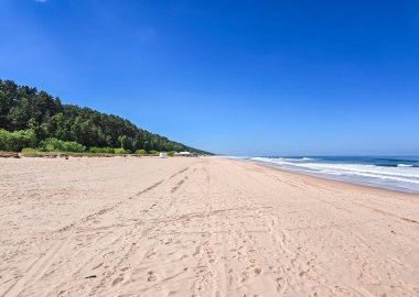 Baltık Denizi kıyısında Jurmala, Letonya 'daki kum tepesi bölgesinde çam ormanları olan açık kumlu bir sahil. Doğal minimalizm kavramı.